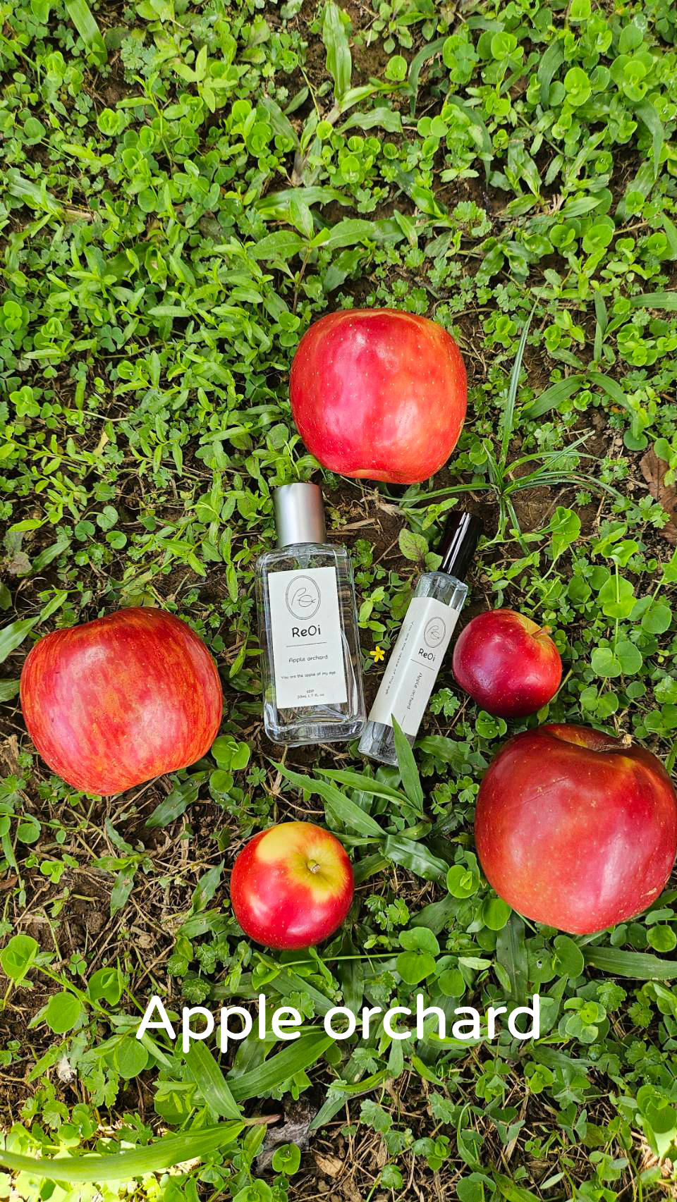 Apple Orchard 10ml EDP 蘋果園淡香精 〔現貨〕